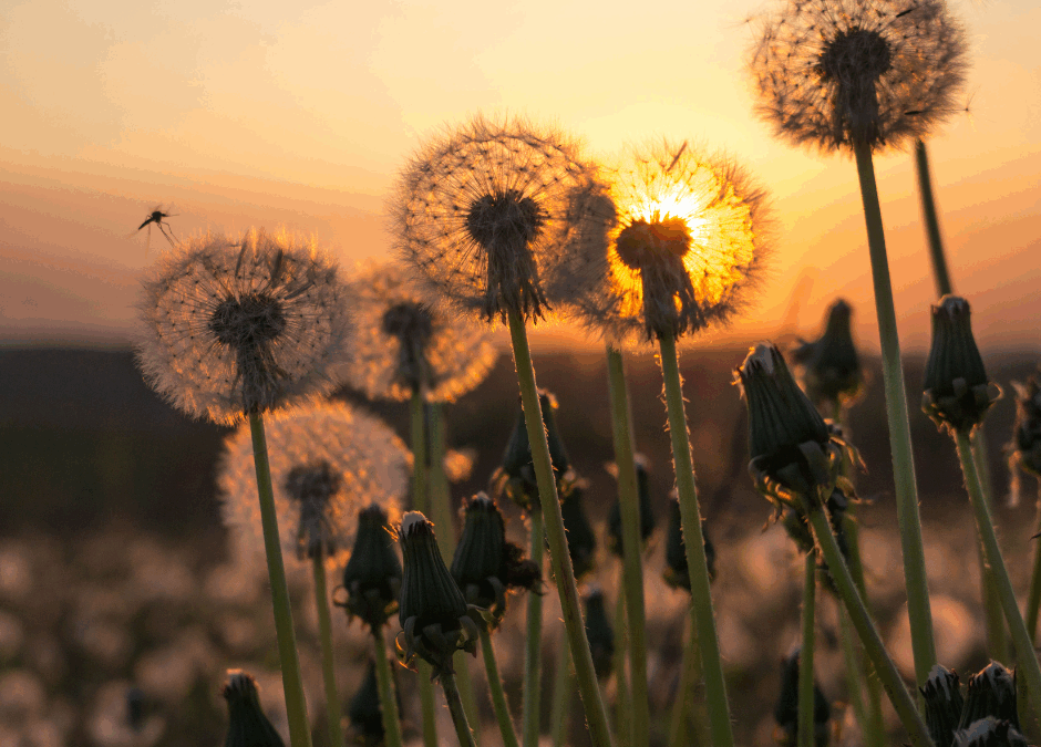 Honoring 21 Years of Service: Celebrating Shelby Boltz 